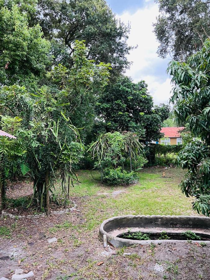 3Bdrm Fruit Tree Home Near Downtown 奥兰多 外观 照片